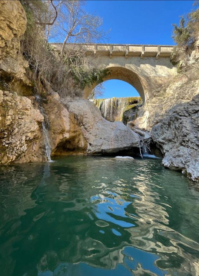 Sous Les Etoiles En Provence, Gite Les Bambous Lurs Kültér fotó